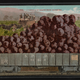 Illustration for article titled Grapes
